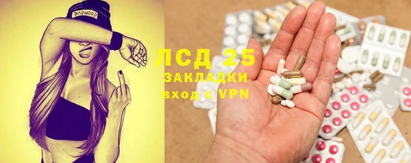 ECSTASY Алзамай