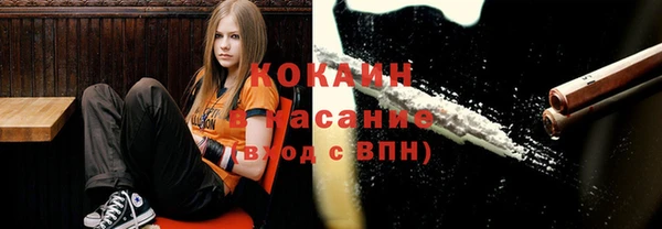 ECSTASY Алзамай