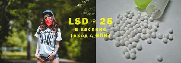 ECSTASY Алзамай