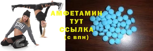 ECSTASY Алзамай