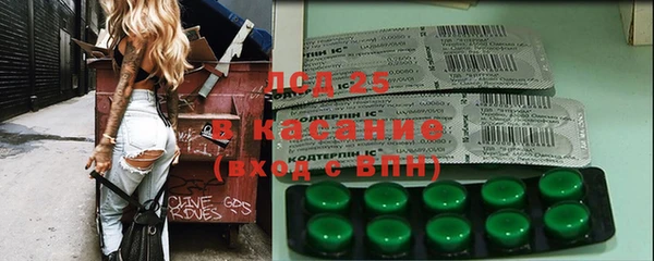 ECSTASY Алзамай
