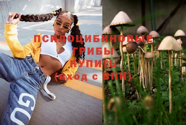 прущий лед Алексеевка