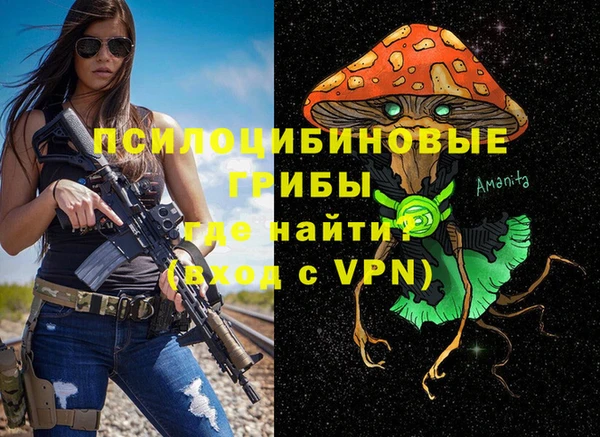 прущий лед Алексеевка