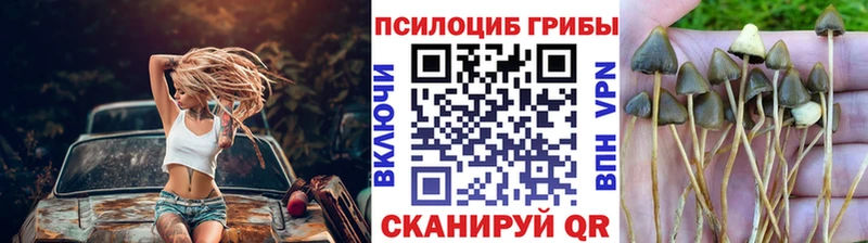 Галлюциногенные грибы ЛСД  KRAKEN маркетплейс  Андреаполь 